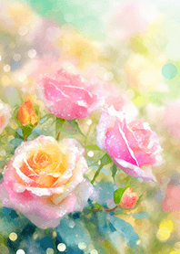 Beautiful rose flower(R2696)