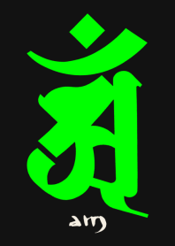 BONJI zodiac [aM] BLACK GREEN (0689