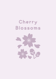 Cherry Blossoms16.PurplePink.