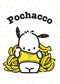 Pochacco: Hide-and-Seek