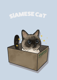 siamesecat1 / baby blue