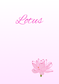 Flower series Lotus