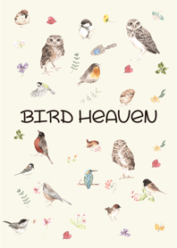 Bird Heaven