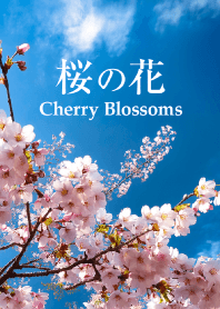 "Cherry Blossoms vol.12" theme