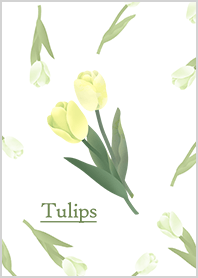 Reika Akatsuki -Tulips-