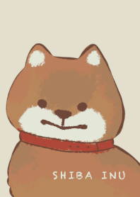 Shibainu dog