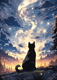 cat looking at the starry sky JP