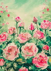 Beautiful rose flower(R4166)