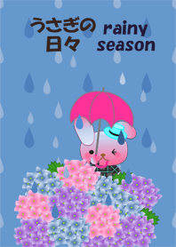 Rabbit daily(The rainy season)