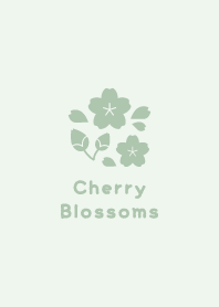 Cherry Blossoms5<Green>