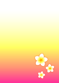 プルメリアの花咲く夏