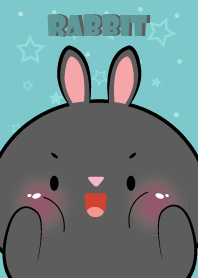 Love Pretty Black Rabbit Theme