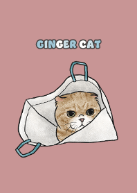 gingercat7 / pale pink