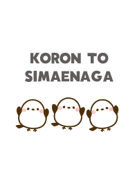 ชิมาเอนางะ ไวท์ ตัวเล็กกลมๆ