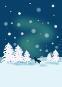 winter night / aurora 2