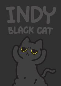 Indy black cat