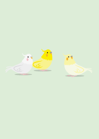 仲良しオカメインコ