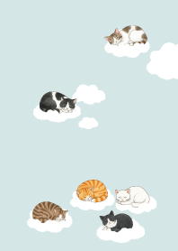 แมวนอนหลับ.4