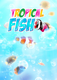 TROPICAL FISH ~Clear ocean~