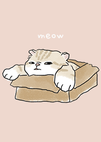 neko drawing4 - sea shell