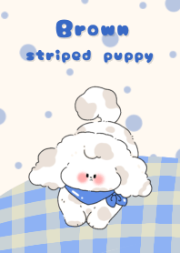 Brown striped puppy
