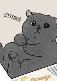 neko single21 / dark beige