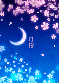 - Moon Cherry Blossoms -