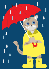 A cat and rainy day