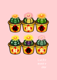 Lucky Potted Plant(pink color)