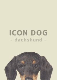 ICON DOG - dachshund - PASTEL YE/01