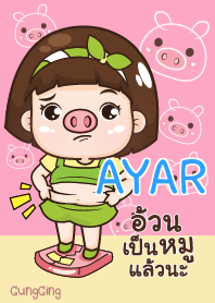 AYAR aung-aing chubby V07 e