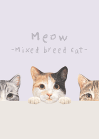 Meow- Mixed breed cat 01 -PASTEL PURPLE