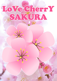 Love Cherry Sakura 桜