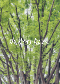 提神的木頭