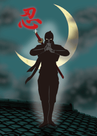 Black shadow of ninja 3