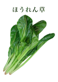 Domestic spinach 13