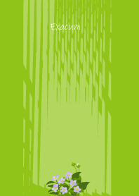 October's birth flower, Exacum