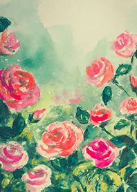 Beautiful rose flower(R4551)