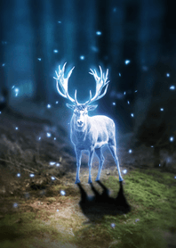White Deer