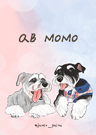 MoMo & QB -雪納瑞