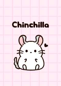 Cute chinchilla. Pink.
