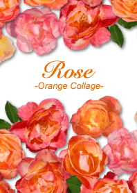 薔薇 「オレンジ色のコラージュ」