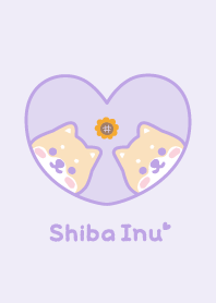 柴犬ひまわり[パープル]