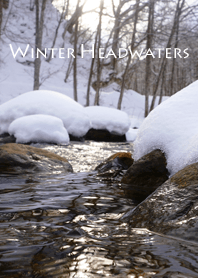 Winter Headwaters