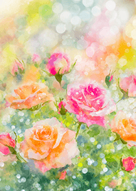 Beautiful rose flower(R1664)