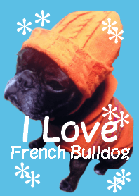 French bulldog.garuko