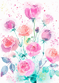 Beautiful rose flower(R4094)