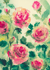 Beautiful rose flower(R4319)