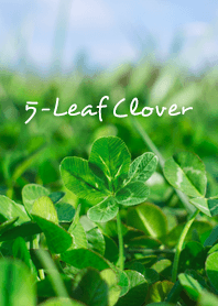 5-Leaf Clover