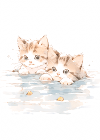 貓咪泡溫泉 5